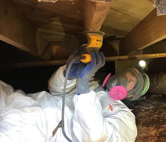 team member in crawl space mold remediation